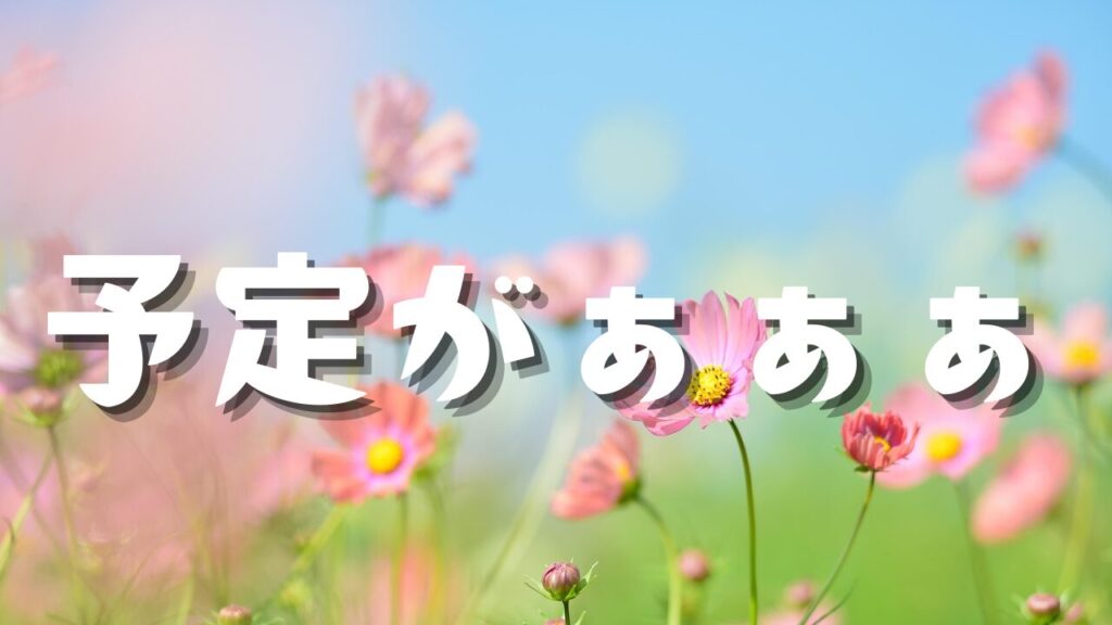 予定がぁぁぁ