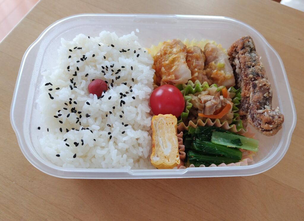 お弁当2024.6.4