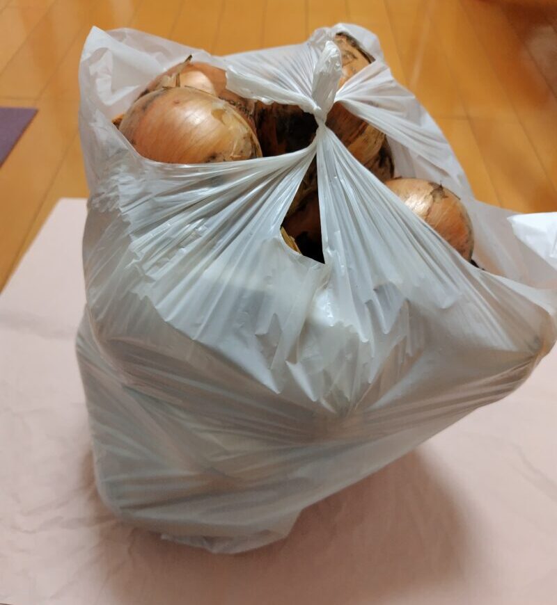 たまねぎ詰め放題