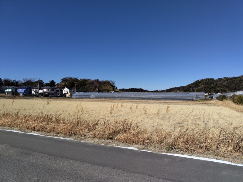 いちごハウス