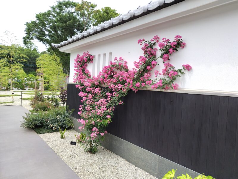 古都の庭4