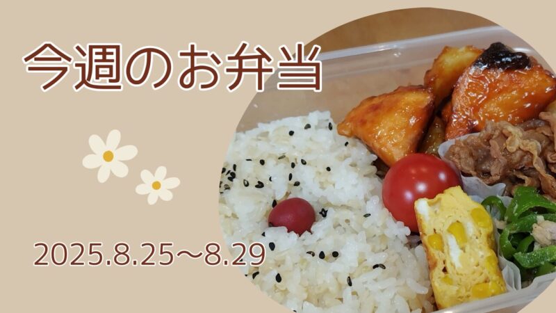 今週のお弁当2025.8.25～8.29アイキャッチ画像