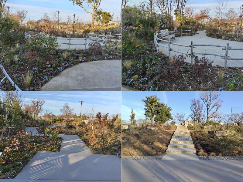 1月5日あやせローズガーデン