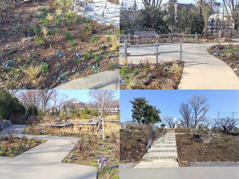 2月15日あやせローズガーデン