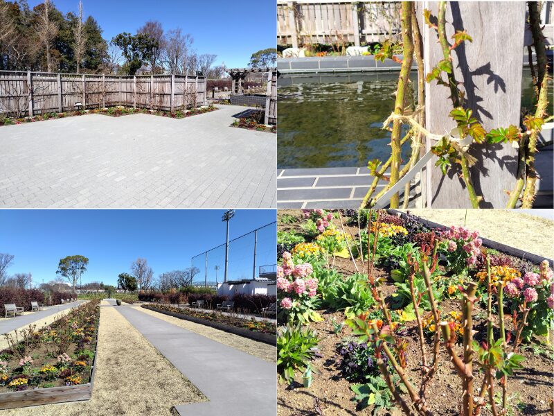 3月14日あやせローズガーデン