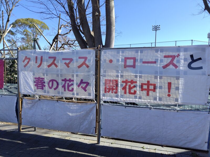 あやせローズガーデン